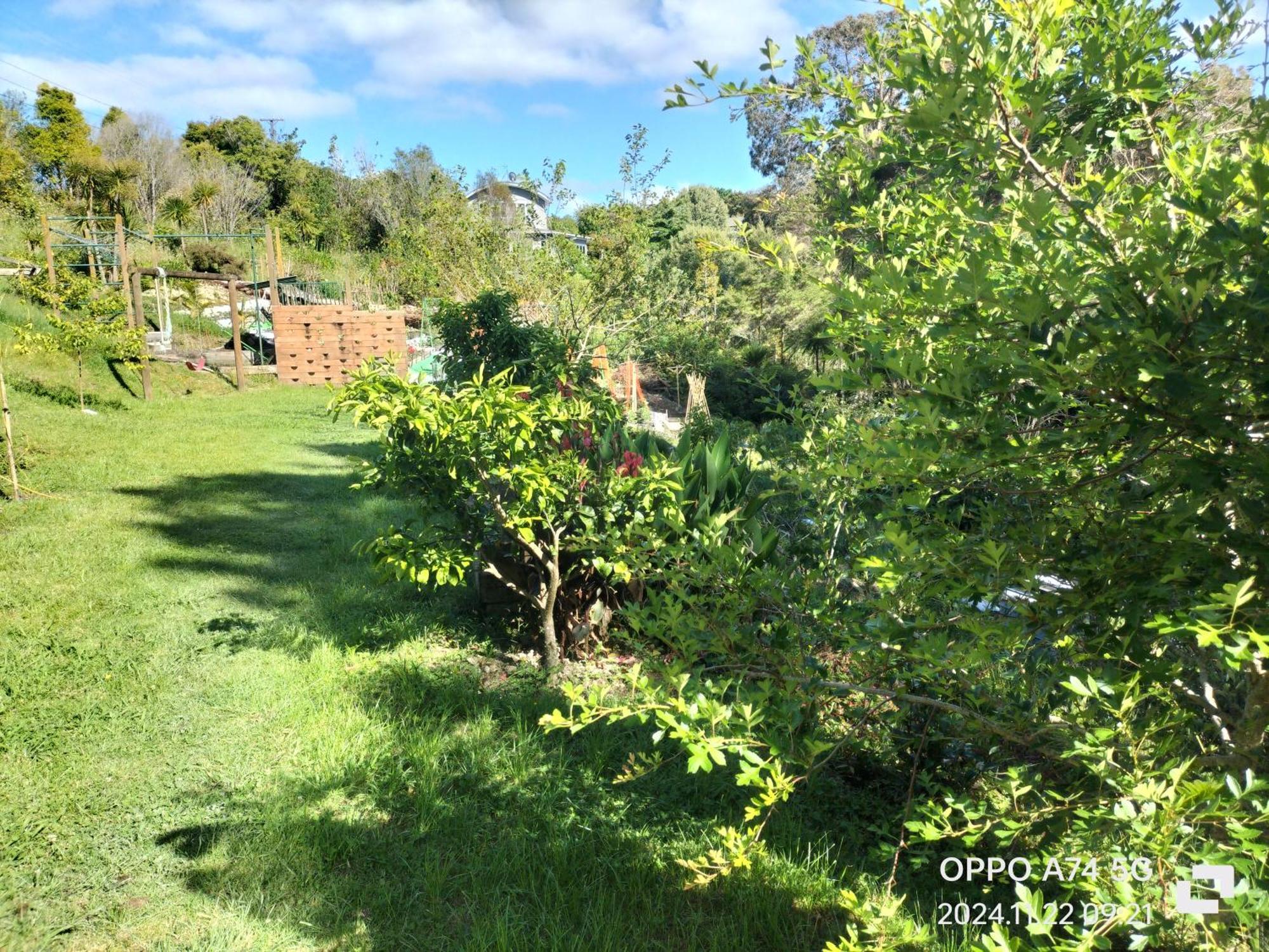 别墅中的一间客房 Auckland Exterior photo