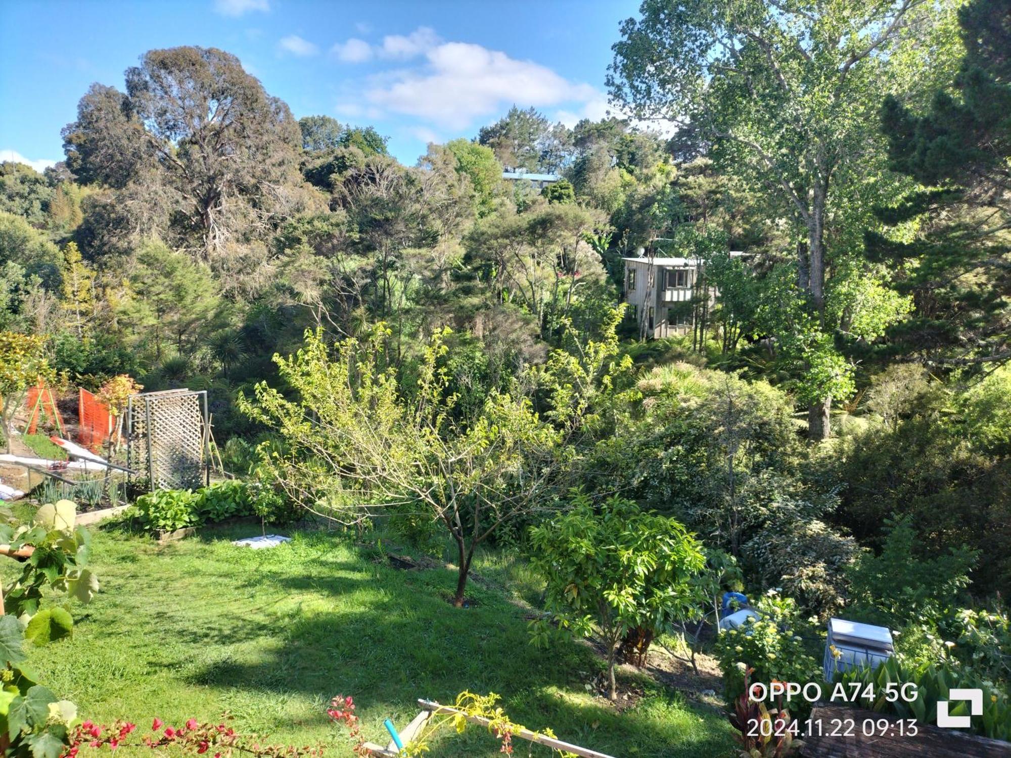 别墅中的一间客房 Auckland Exterior photo